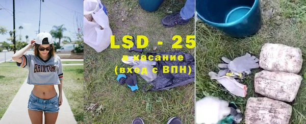 сатива Балахна