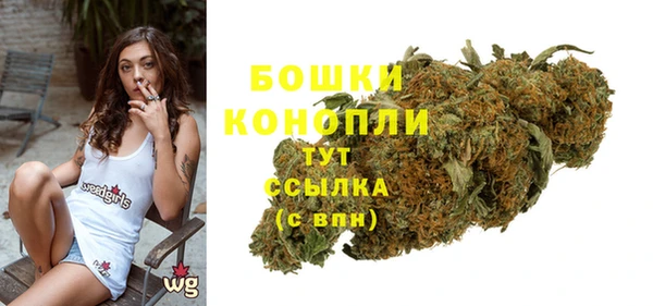 ПСИЛОЦИБИНОВЫЕ ГРИБЫ Аркадак