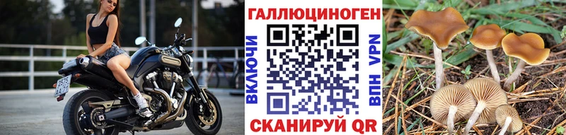 Галлюциногенные грибы MAGIC MUSHROOMS  Майкоп 